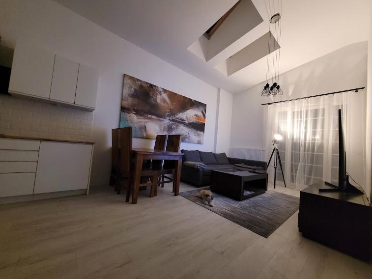 Apartament W Starym Mlynie Loft Rozanka Wroclaw Luaran gambar